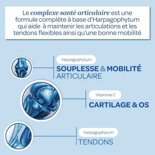 Collagène Marin 10 g + Harpagophytum et Saule Blanc 220 g