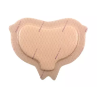 Mepilex Border Protect Pansement hydrocellulaire sacrum 16 × 20 cm 10 pansements