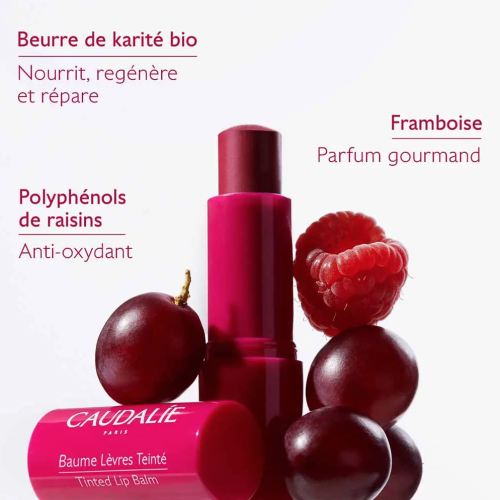 Baume à Lèvre Teinté 4,5 g