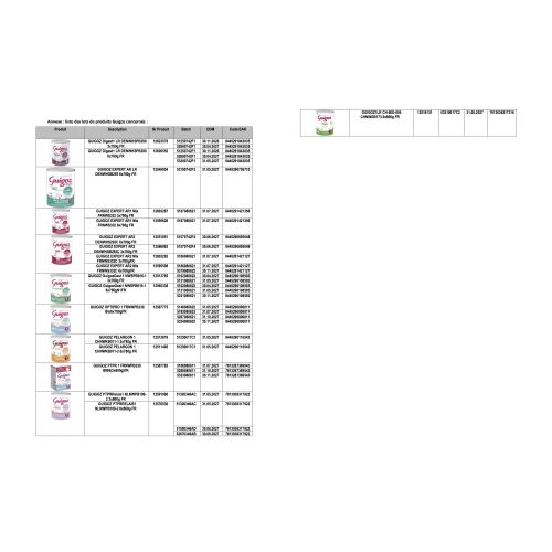 GuigozGest Lait de Croissance Dès 1 An 800 g
