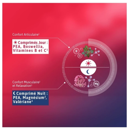 Chondroflex Jour - Nuit 24 comprimés