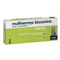 Multivermyx Chat 80/20 mg 2 comprimés