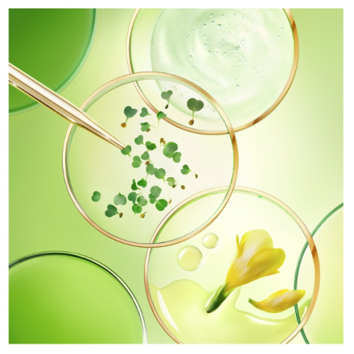 Nuxuriance Ultra La Crème Anti-Âge Global 50 ml