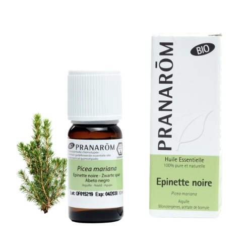 Huile Essentielle Epinette Noire (Picea mariana) Bio 10 ml