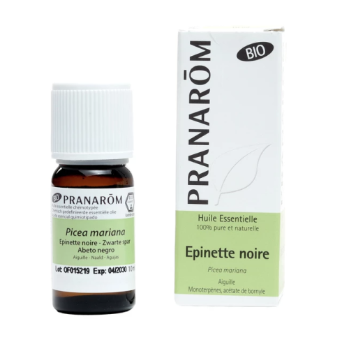 Huile Essentielle Epinette Noire (Picea mariana) Bio 10 ml