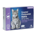 Pyrantel Praziquantel Chat 2 Comprimés
