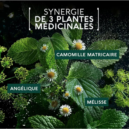 Maux de Ventre Flash 10 Gélules