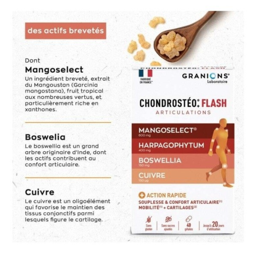 Chondrostéo Flash 40 Gélules