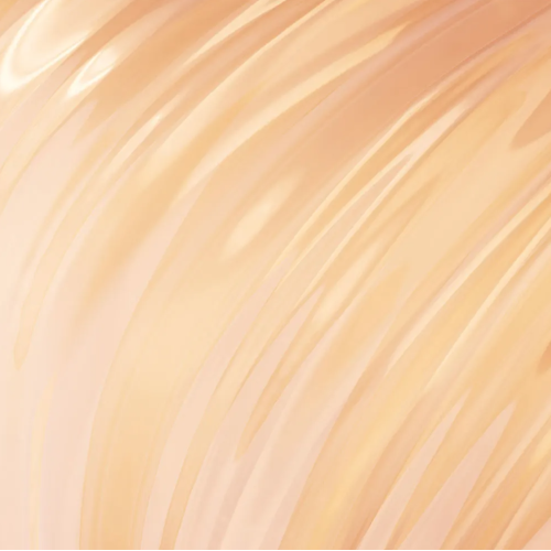 Boost Curl Gelée Capillaire 250 ml