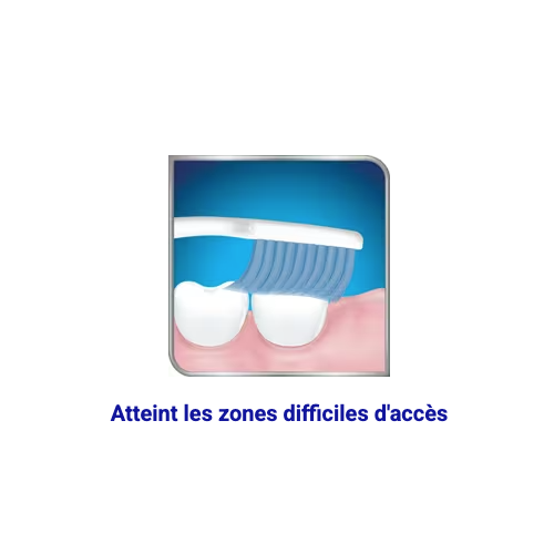 Brosse à Dents Soin & Précision Souple 1 brosse à dents