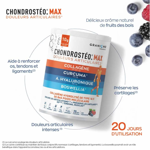 Chondrosteo+ Max Douleurs Articulaires 226 g