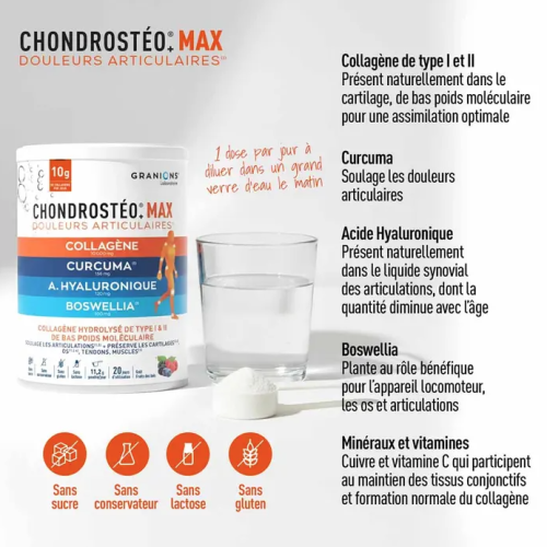 Chondrosteo+ Max Douleurs Articulaires 226 g