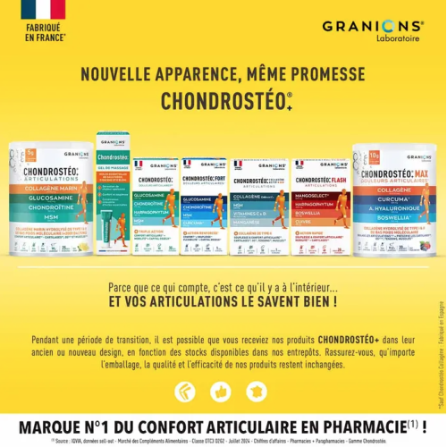 Chondrosteo+ Max Douleurs Articulaires 226 g