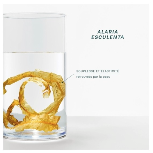 Gommage en huile Bio 200 ml