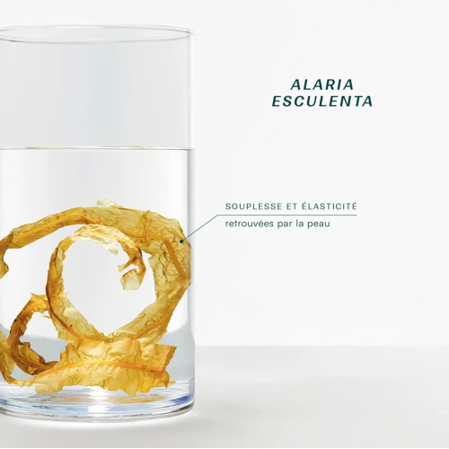 Huile Sèche Bio 100 ml