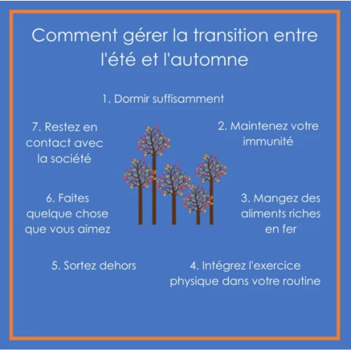 Fer Naturel 28 Sachets