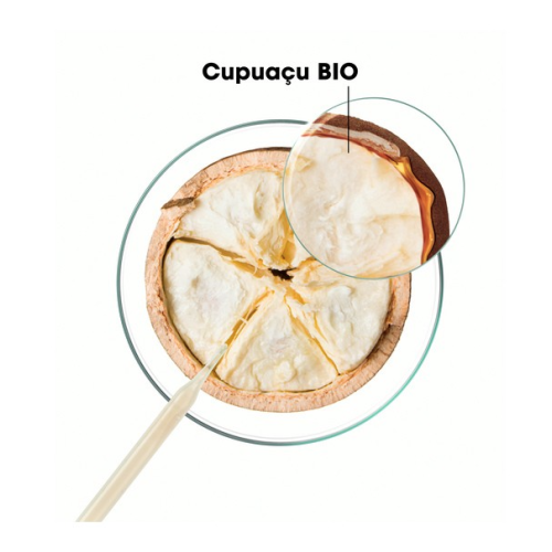 Shampoing Réparation Cupuaçu Bio 400 ml