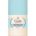 Déodorant Stick Fraîcheur 48H Menthe 50 g