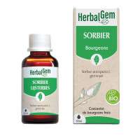 HERBALGEM Sorbier Bio : Macérat Circulation & Jambes Légères - 30ml
