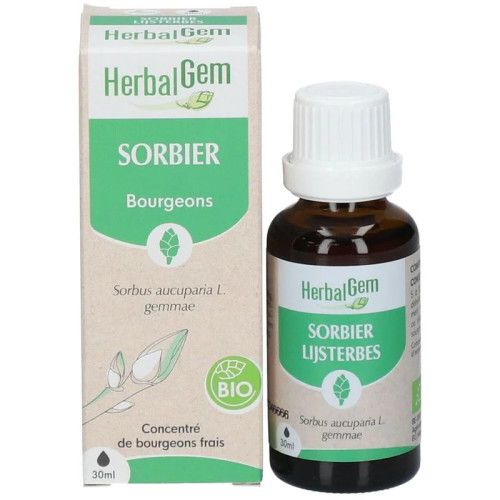 HERBALGEM Sorbier Bio : Macérat Circulation & Jambes Légères - 30ml