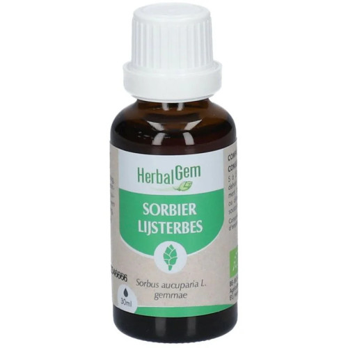 HERBALGEM Sorbier Bio : Macérat Circulation & Jambes Légères - 30ml