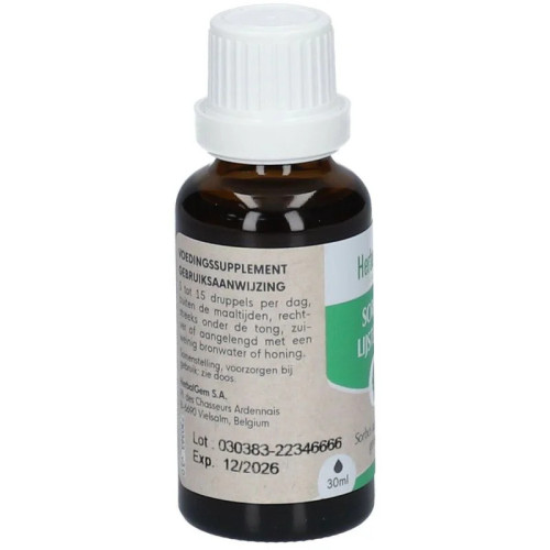 HERBALGEM Sorbier Bio : Macérat Circulation & Jambes Légères - 30ml