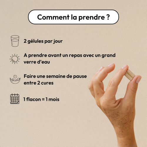 Gélules Équilibrist : Ménopause apaisée, bouffées de chaleur