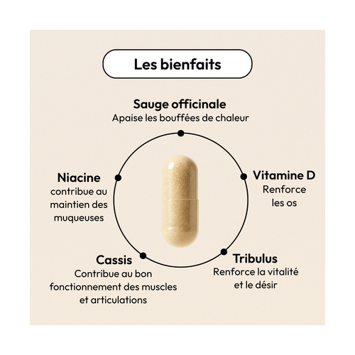 Complément ménopause Équilibrist : 60 gélules pour équilibre hormonal