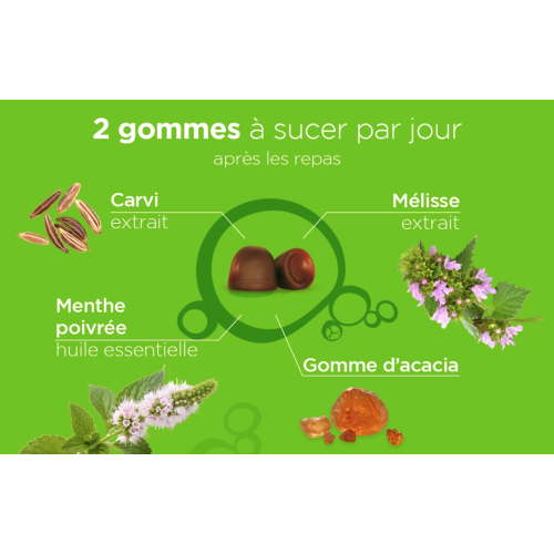 Lehning Digestion : 40 gommes légères sans sucre après repas