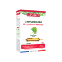 SUPER DIET Ginkgo Biloba : Boost Circulation & Mémoire - 20 Ampoules