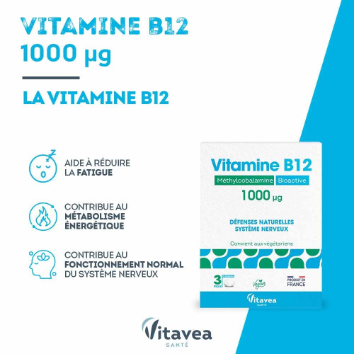 Vitamine B12 Bioactive 1000 µg 90 comprimés