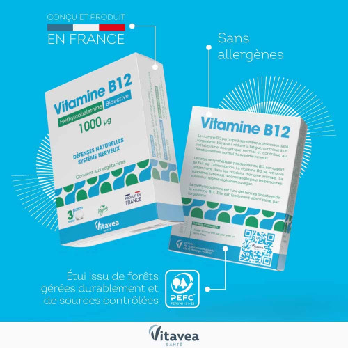 Vitamine B12 Bioactive 1000 µg 90 comprimés