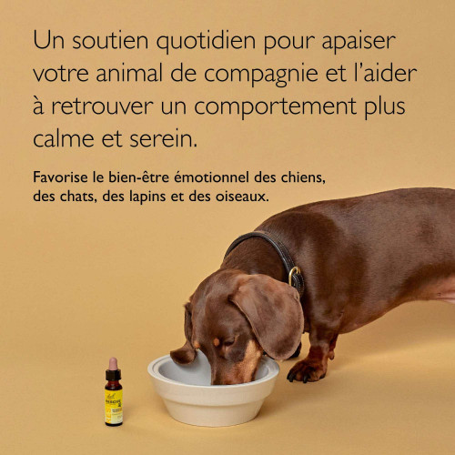 Rescue Pets Animaux de Compagnie 20 ml