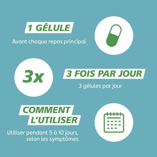 GAVIDigest Flatulences et Ballonnements 15 gélules