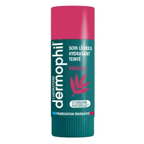 Dermophil Soin Teinté Lèvres 4g Hydratation et Couleur Naturelle