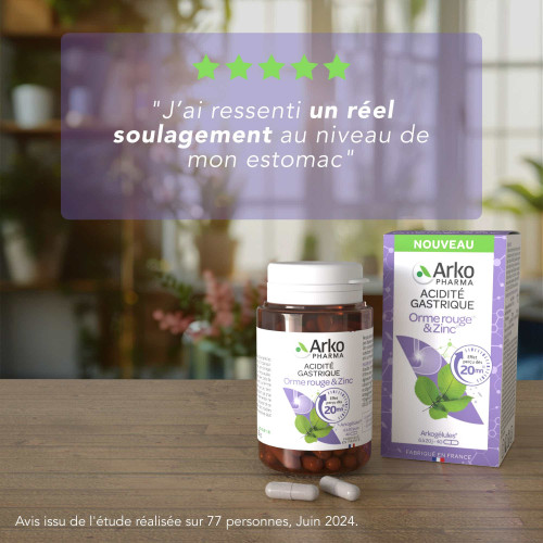 Arkopharma Arkogélules Acidité Gastrique 40 gélules Soulagement Rapide