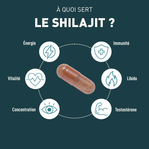Granions Shilajit 1000mg 60 Gélules Boost Énergie Vitalité Pharma360