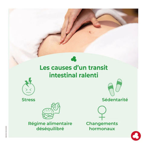 Ortis Fruits & Fibres Regular 30 Comprimés Transit Intestinal Naturel