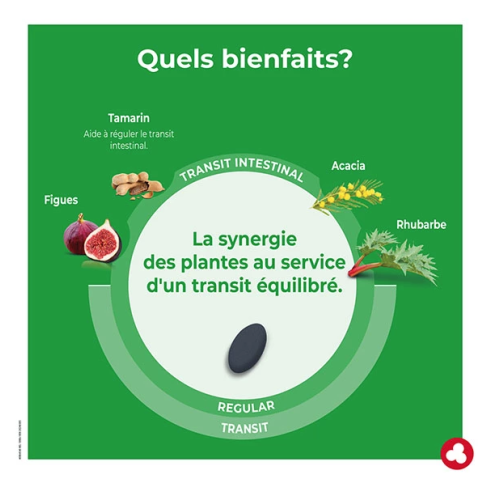 Ortis Fruits & Fibres Regular 30 Comprimés Transit Intestinal Naturel