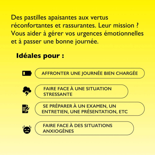 FLEURS DE BACH Rescue Pastilles 50g Fruits Rouges Sérénité Stress