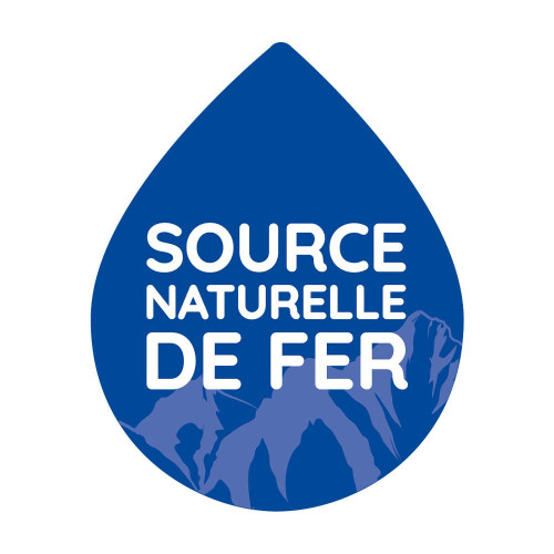 Ferrotone Fer Naturel 28 Sachets Réduit Fatigue et Soutient Immunité
