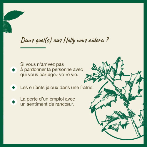 Fleurs de Bach Holly 20mL - Apaise Colère et Méfiance
