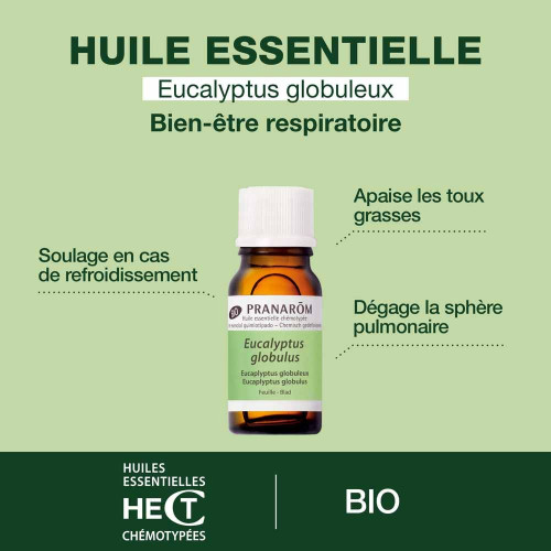 PRANAROM Eucalyptus Globuleux Bio 10ml - Pureté Totale