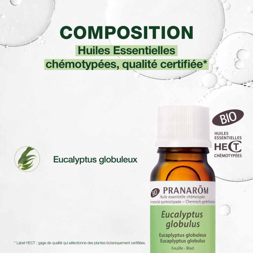 PRANAROM Eucalyptus Globuleux Bio 10ml - Pureté Totale
