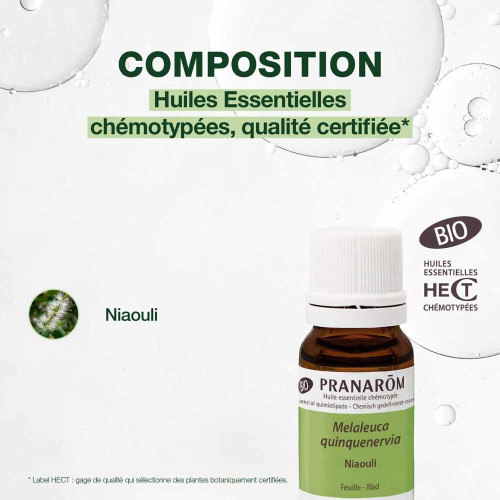 PRANAROM Niaouli Bio 10ml - Huile Essentielle Pure et Naturelle