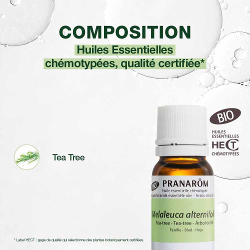 PRANAROM Tea-Tree Bio 10ml - Huile Essentielle 100% Pure et Naturelle