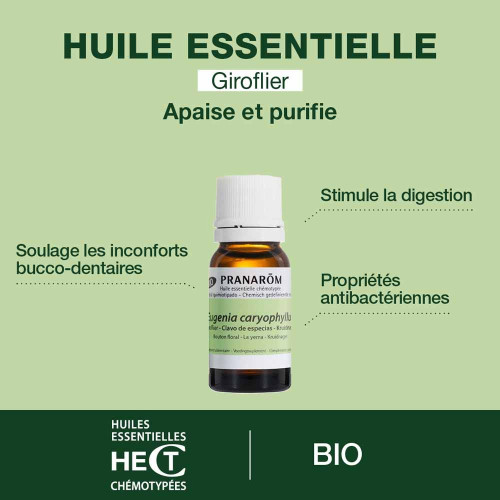 PRANAROM Huile Essentielle Giroflier Bio 10ml - Soulagement naturel