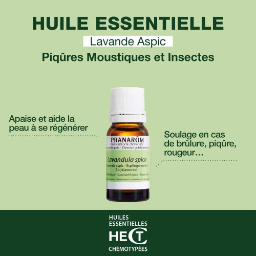 Huile Essentielle Lavande Aspic 10 ml