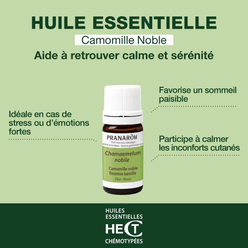Huile Essentielle Camomille Noble (Chamaemelum nobile) 5 ml