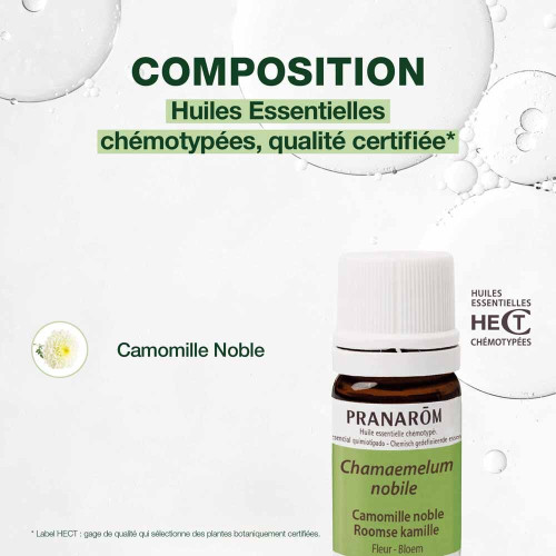 Huile Essentielle Camomille Noble (Chamaemelum nobile) 5 ml